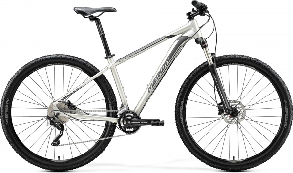 Велосипед Big.Nine 80-D 29" L(18,5") MattTitan/Black/Silver 23298