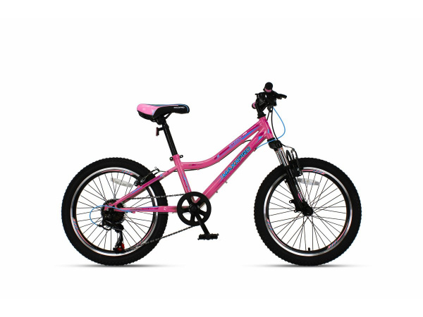 Велосипед STEELY 20 PRO розово-голубой
