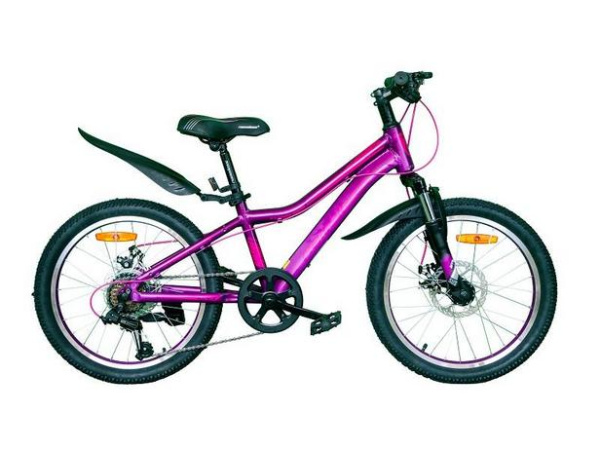 Велосипед 20" Nameless J2200DW, фиолетовый, 11"