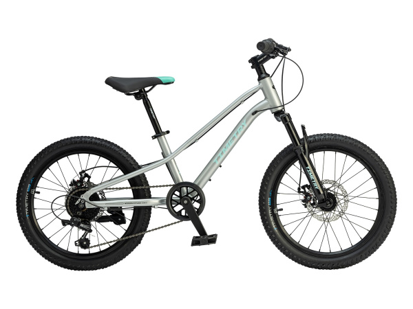 TIMETRY TT277 R20 (серебро)